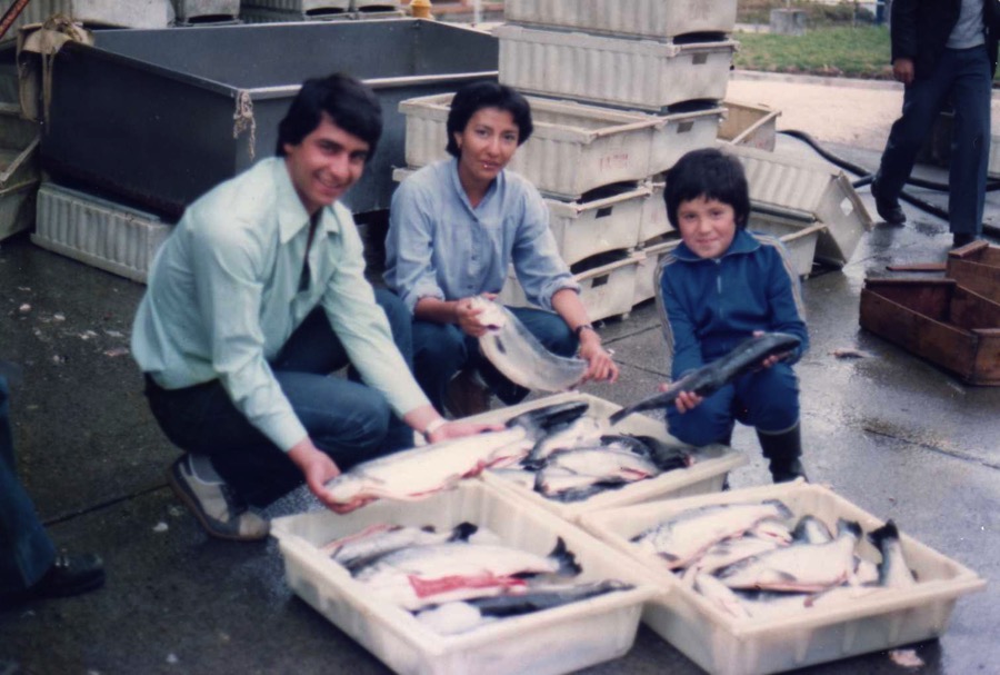 1981 Primera cosecha salmón coho Chile.jpg